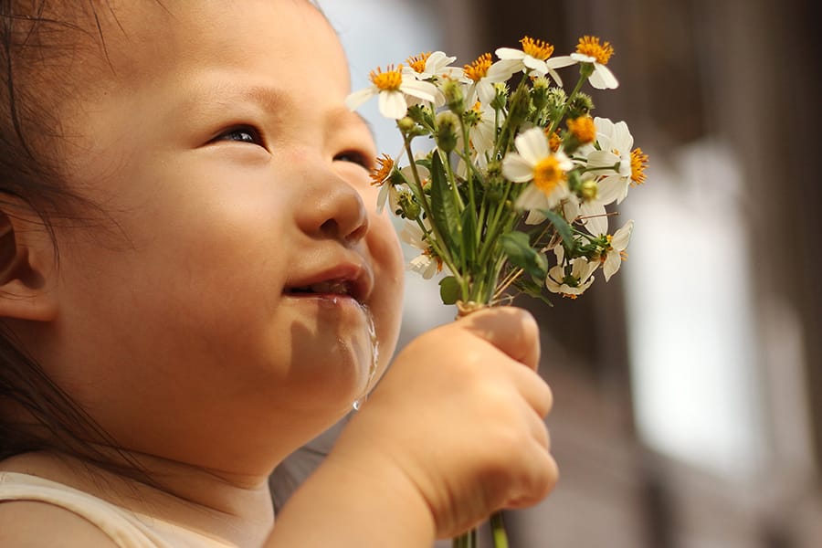 小さい頃から花に触れて、その魅力を感じてほしい